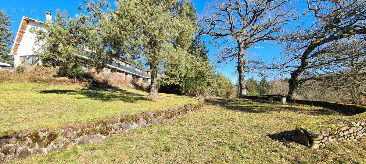 Commerce à CLERMONT-FERRAND