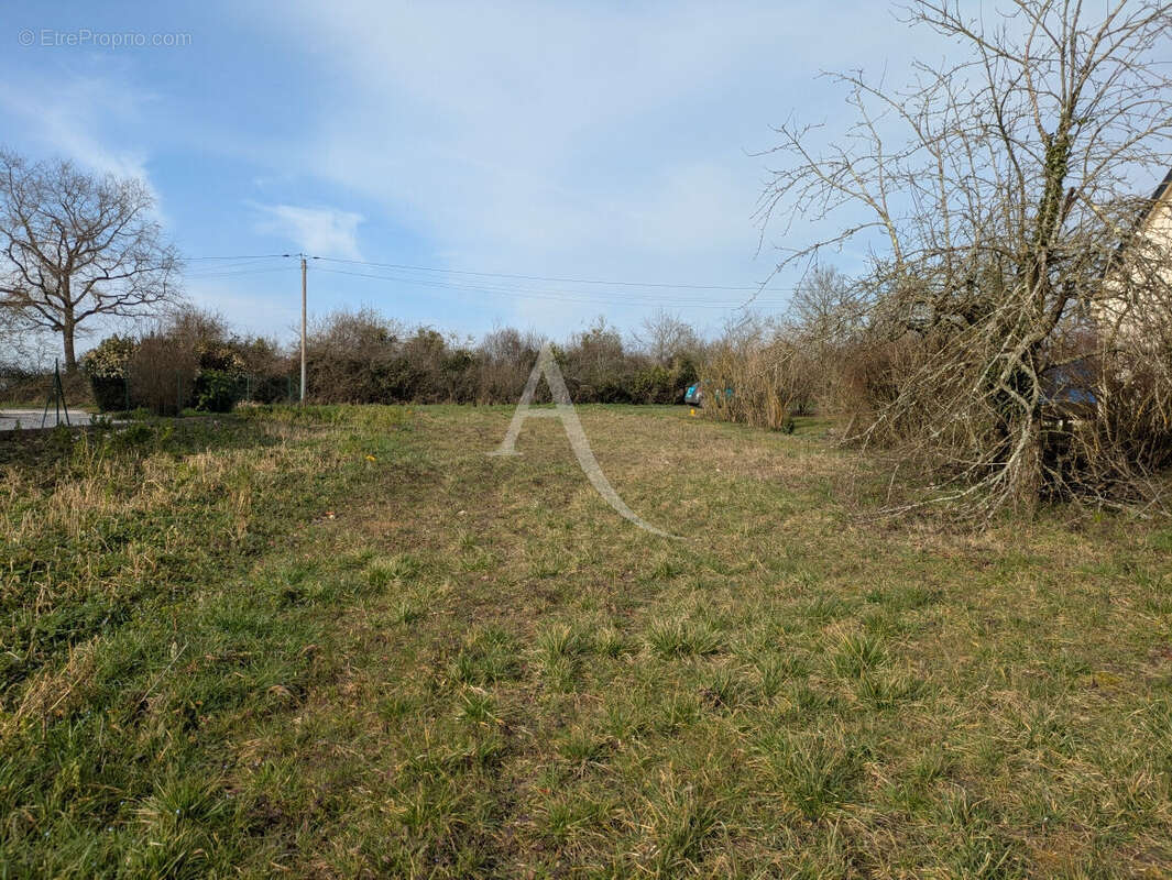 Terrain à ONZAIN