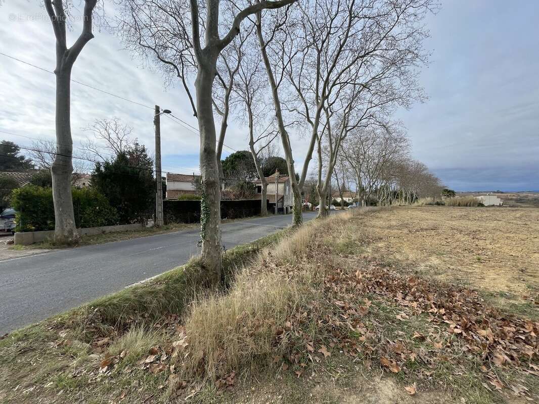 Terrain à BASSAN