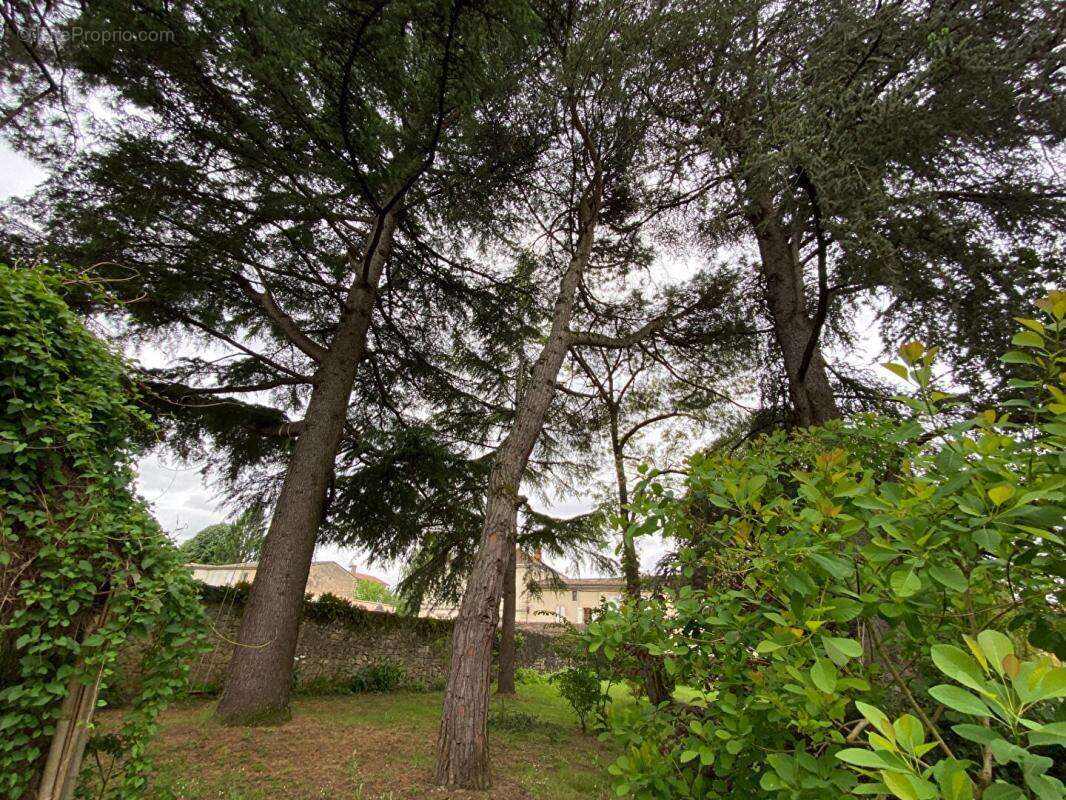 Maison à SAINT-MACAIRE