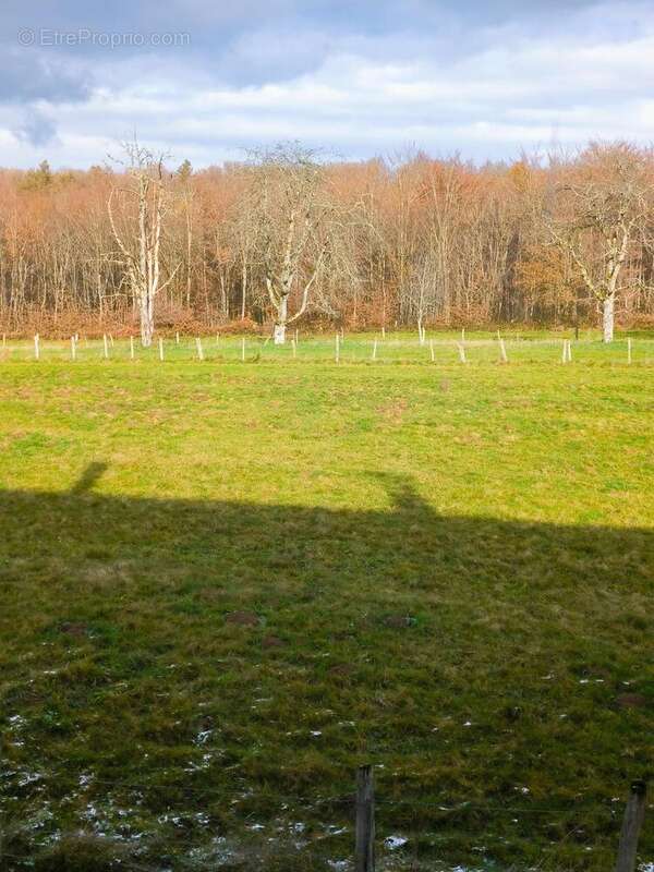 Photo 3 - Maison à MAGNIVRAY