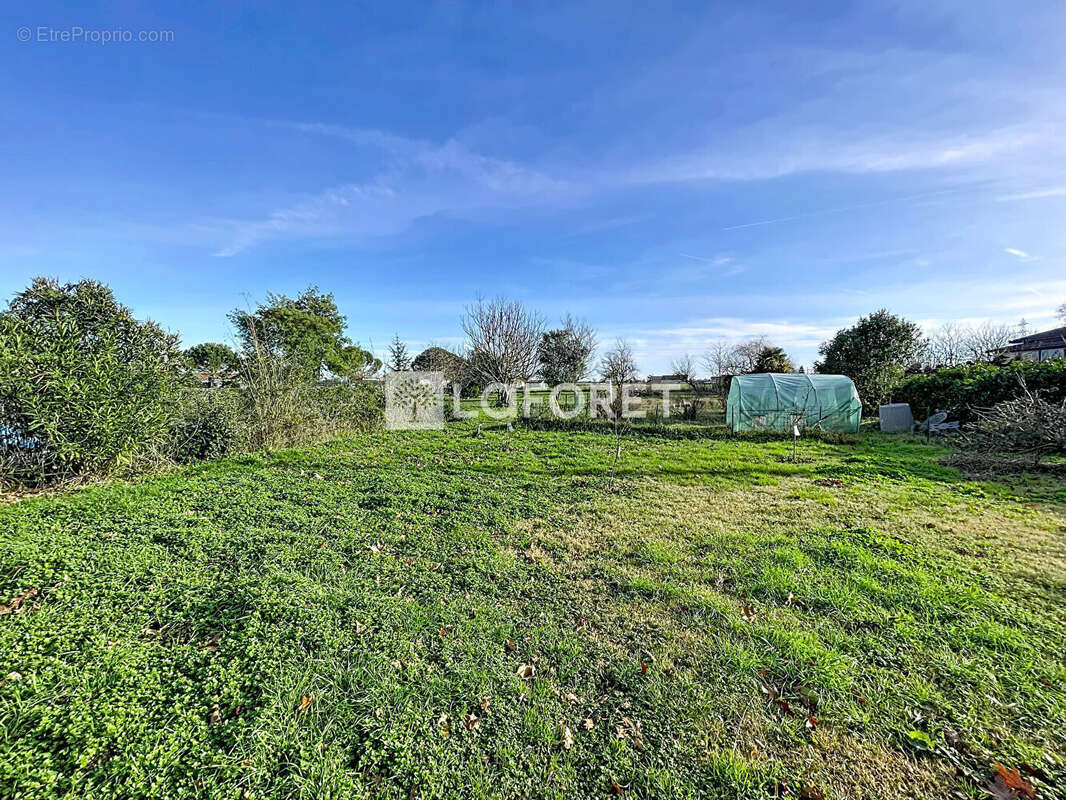 Maison à CASTELSARRASIN
