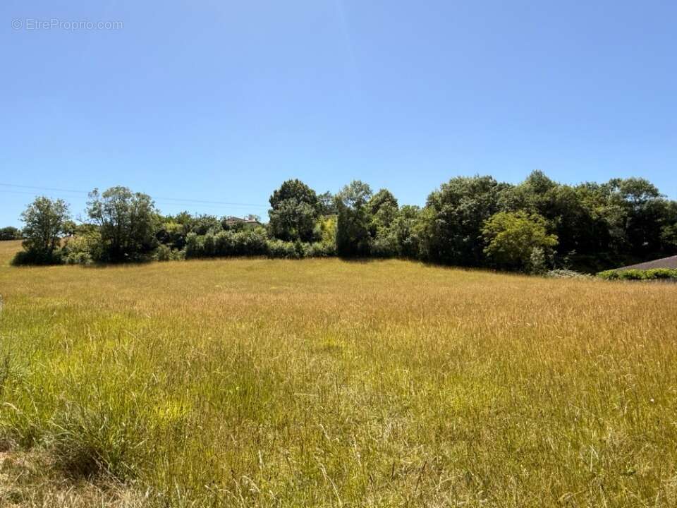 Terrain 673 m² à Auriac-Sur-Vendinelle  - photo 2