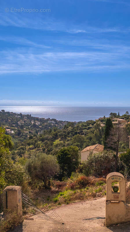 Terrain à ROQUEBRUNE-SUR-ARGENS