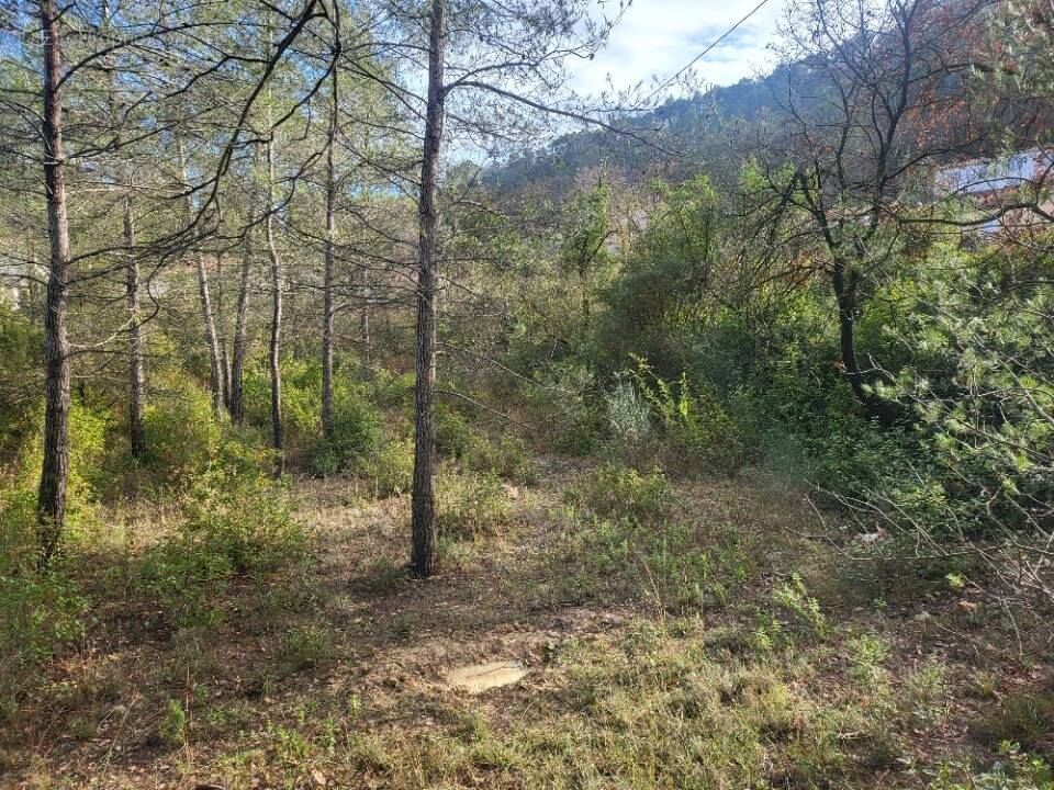 Terrain à BRIGNOLES