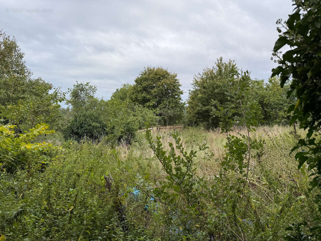 Maison à FAYS-LA-CHAPELLE
