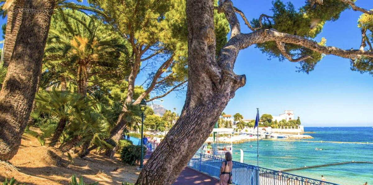 Commerce à BEAULIEU-SUR-MER