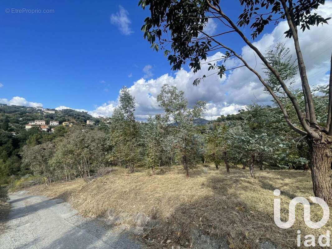 Photo 7 - Terrain à NICE