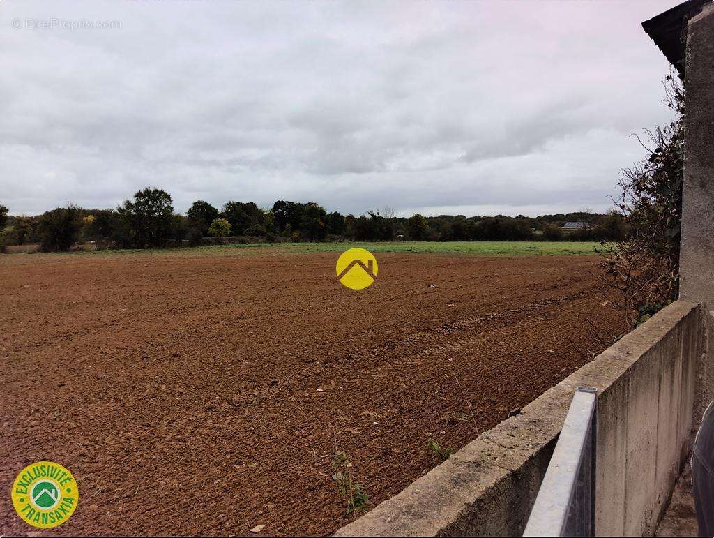 Commerce à LURCY-LEVIS