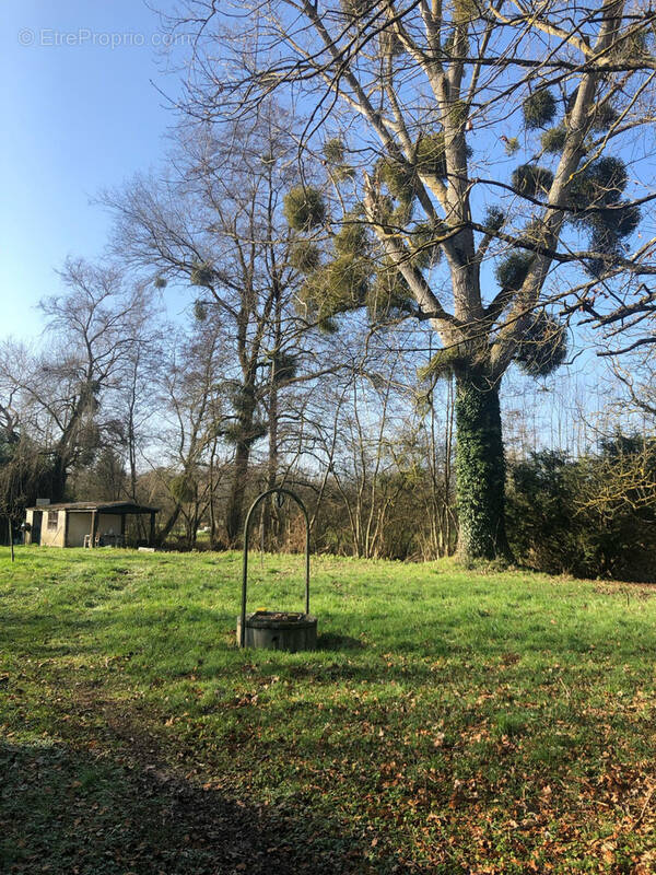 Terrain à RUVIGNY