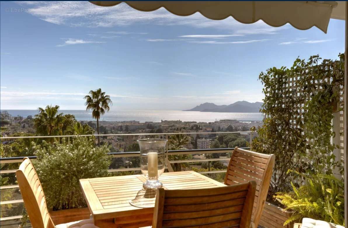 Cannes Basse californie – 3 pièces rénové avec vue mer - photo 14