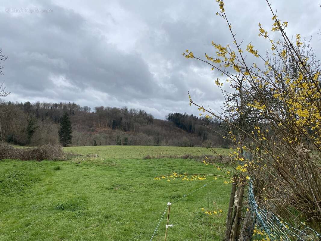 Maison 85 m² à Neuvic-Entier  - photo 3