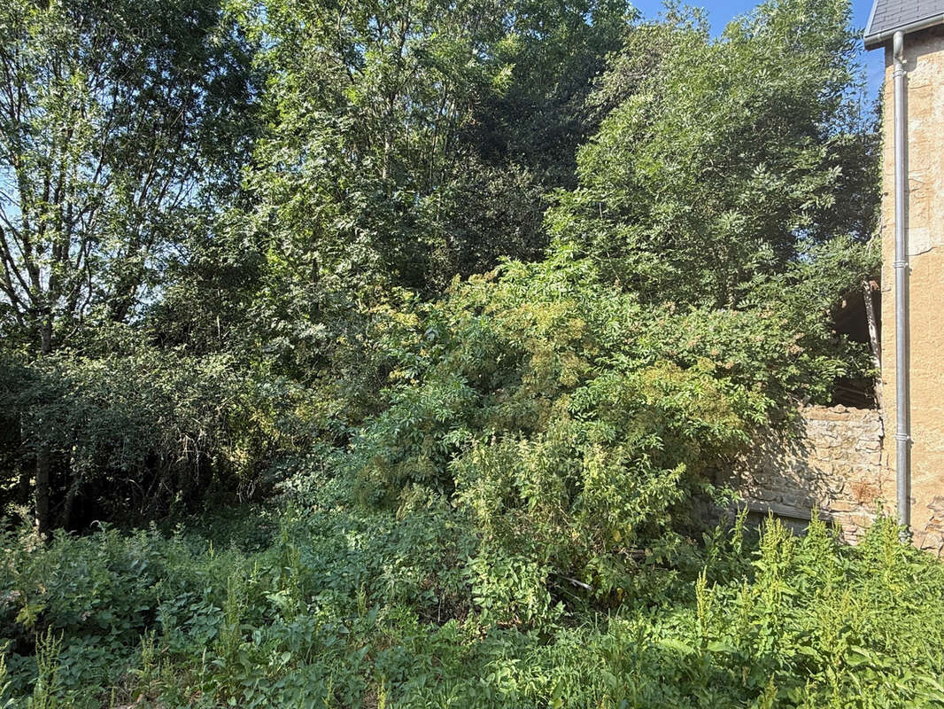 Auv 1225: Maison de caractère, grande grange, toits neufs, 1640m2 - photo 29