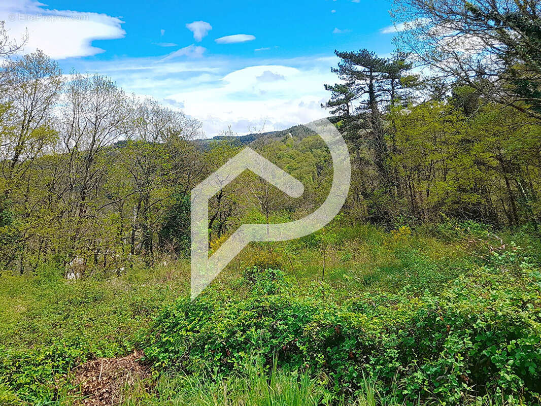 Terrain à BOISSEZON