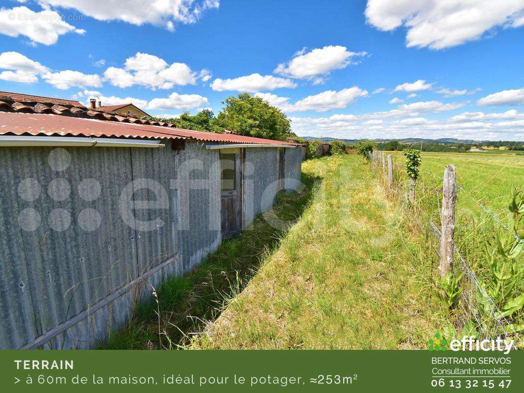 Maison 87 m² à Saint-Martin-Lestra  - photo 5