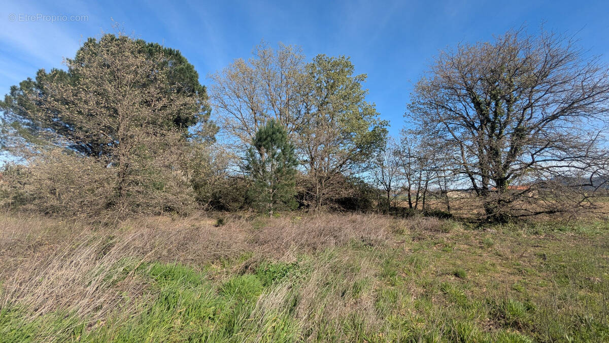 Terrain à PALAU-DEL-VIDRE