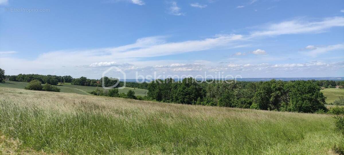 Terrain à MONTAUBAN