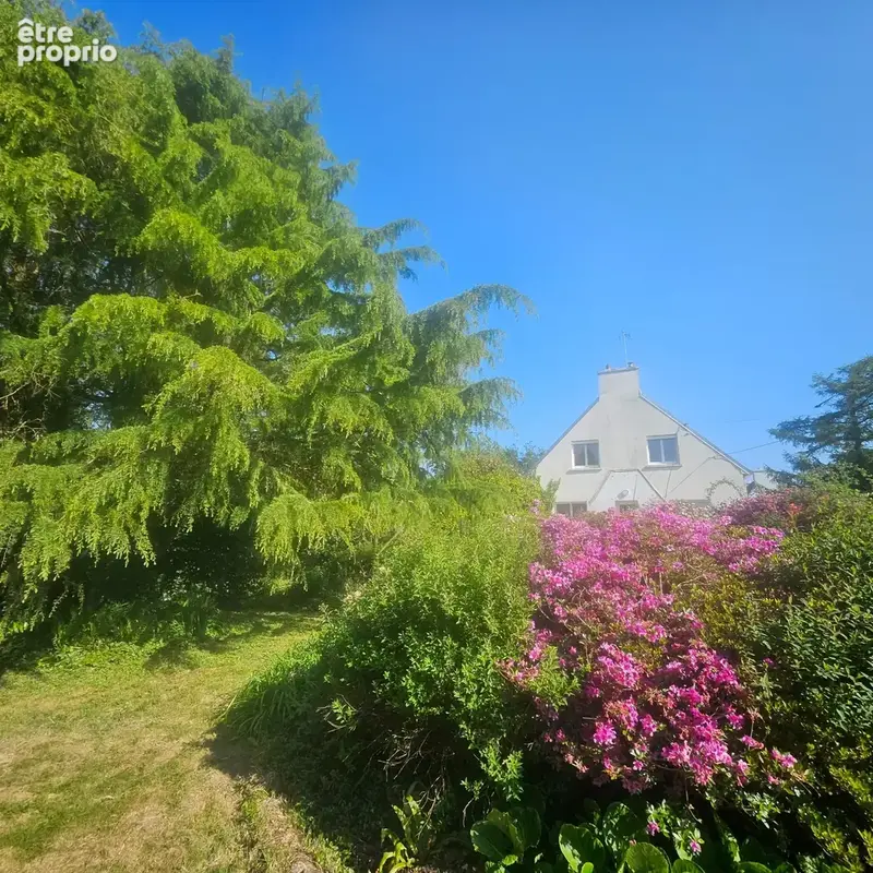 Maison au calme sur 3300 m2 de terrain arboré - photo 3