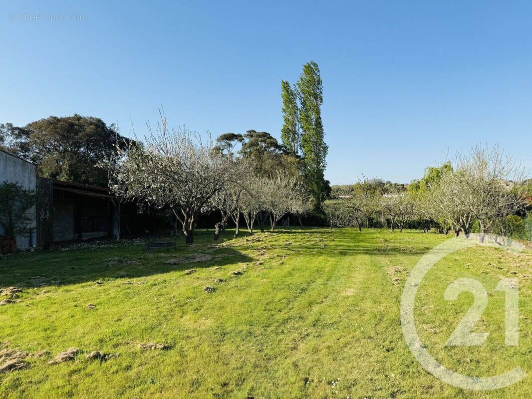 Terrain à TALMONT-SAINT-HILAIRE