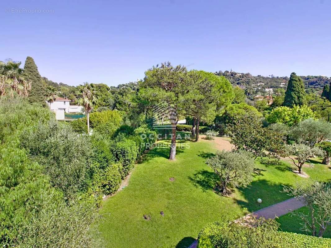 Exclusivité - Vue mer - Toit terrasse - Calme absolu - Montfleury, Cannes - photo 8