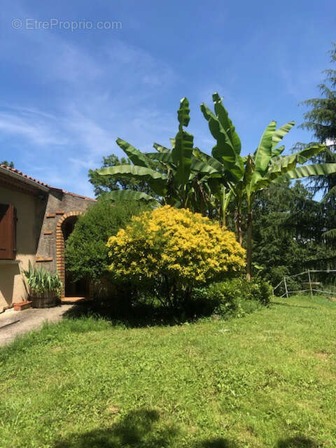 Maison à NERAC