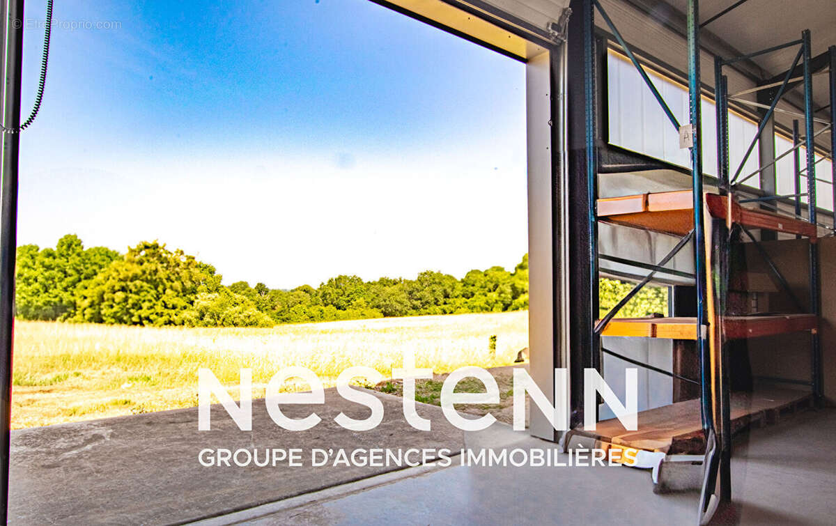 Commerce à PAMPELONNE