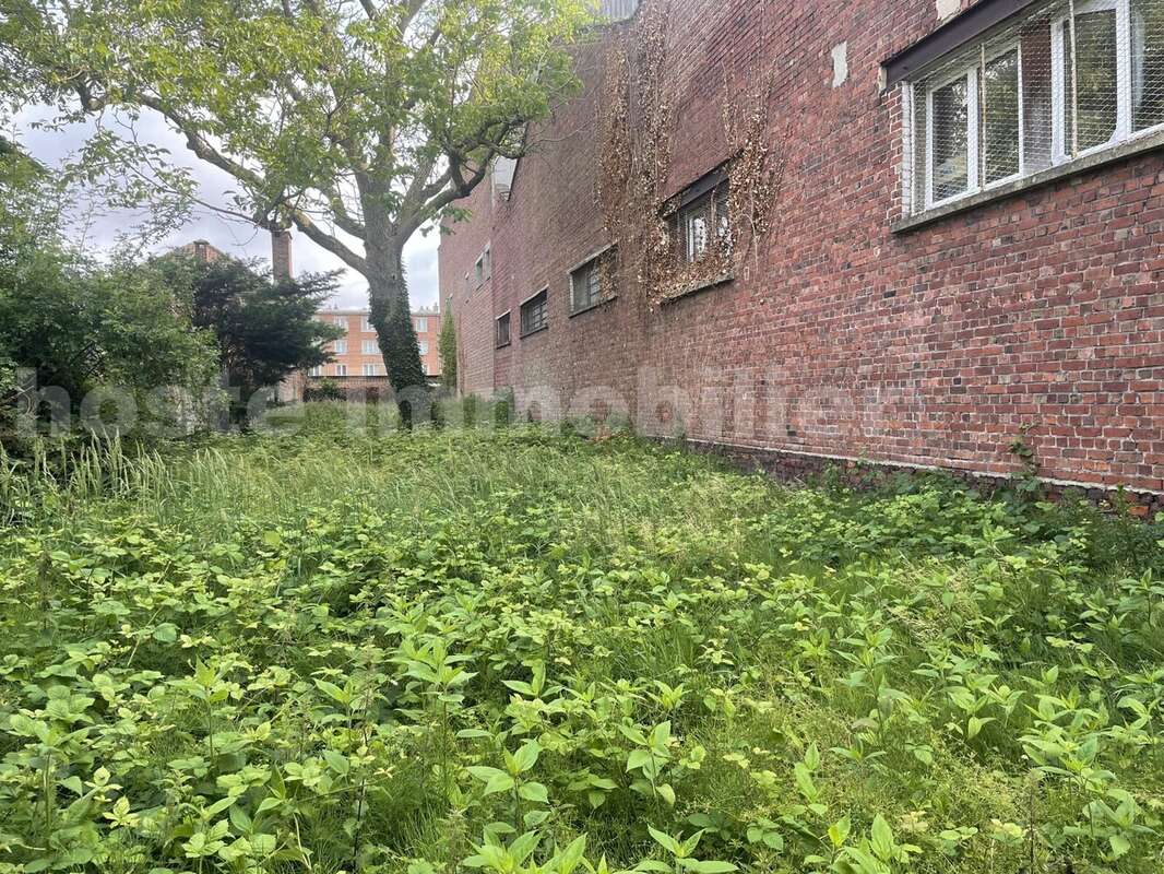 IMG_8708 - Terrain à TOURCOING