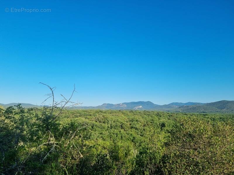 Terrain à SAUVE