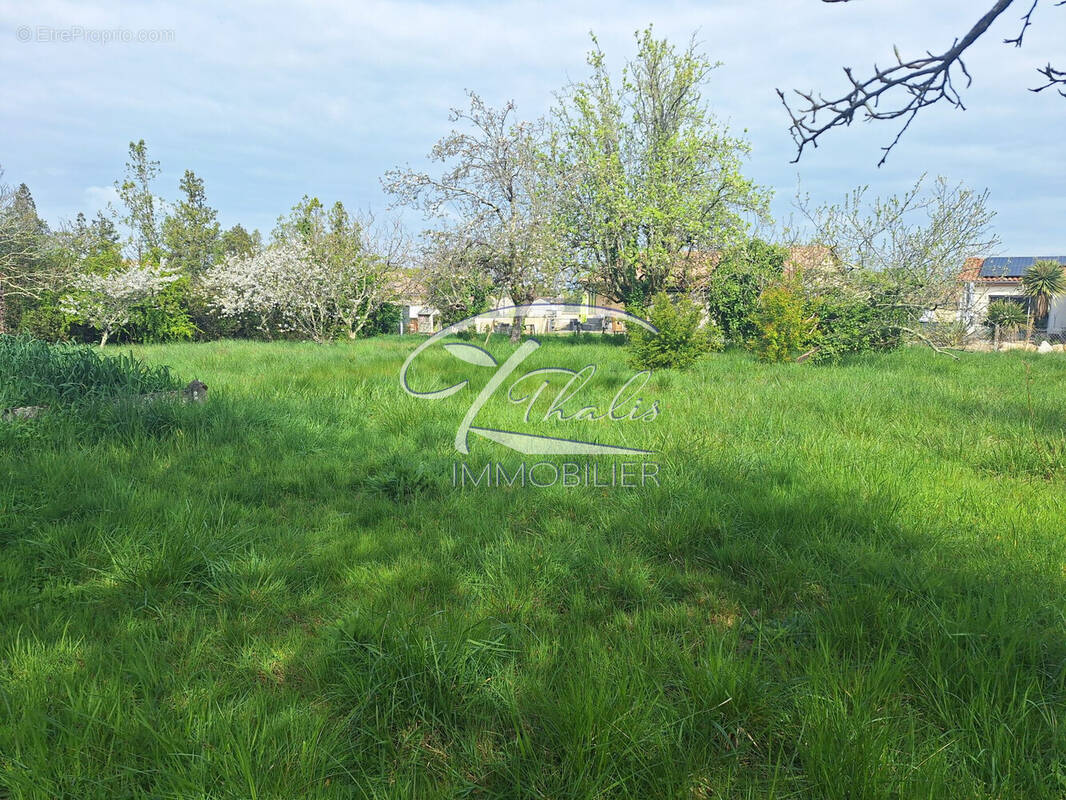 Terrain à LA LANDE-DE-FRONSAC