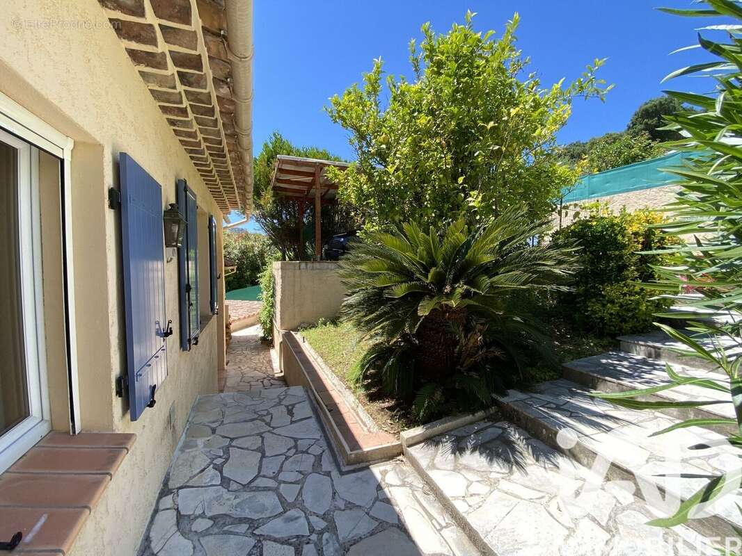 Photo 7 - Maison à MANDELIEU-LA-NAPOULE