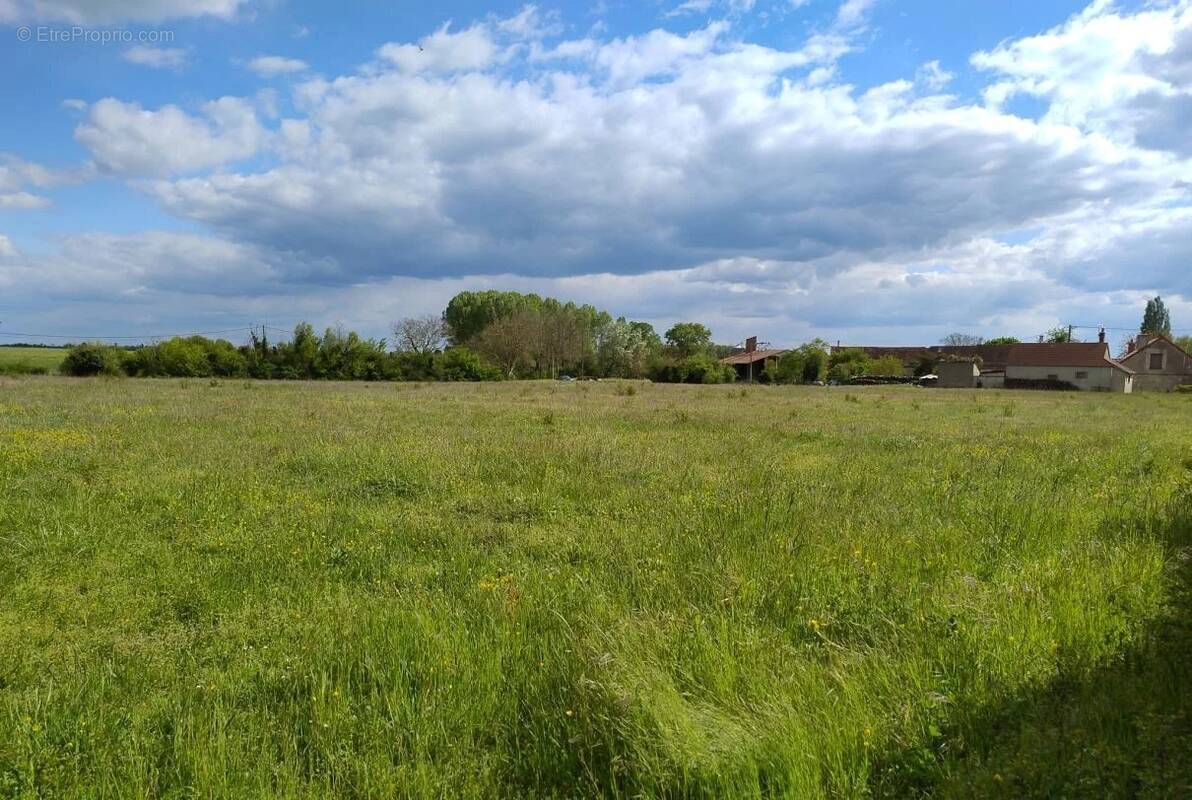 Terrain à OSMERY