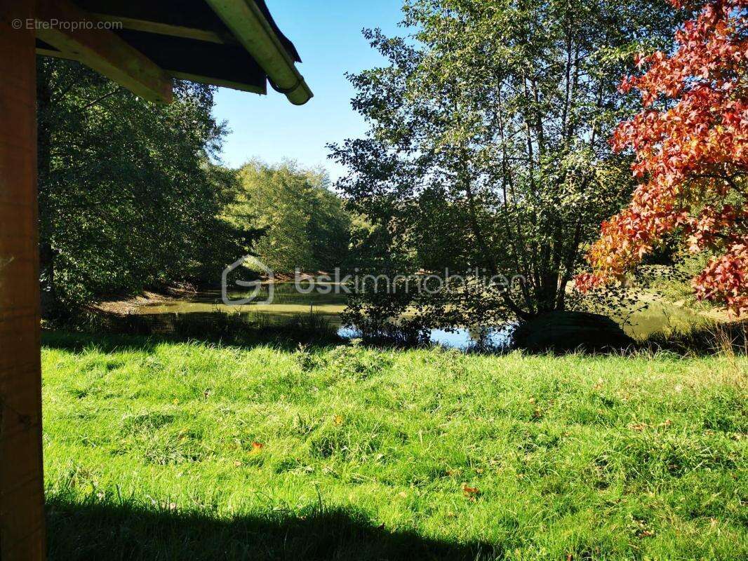 Terrain à SAINT-SAUVEUR-EN-PUISAYE