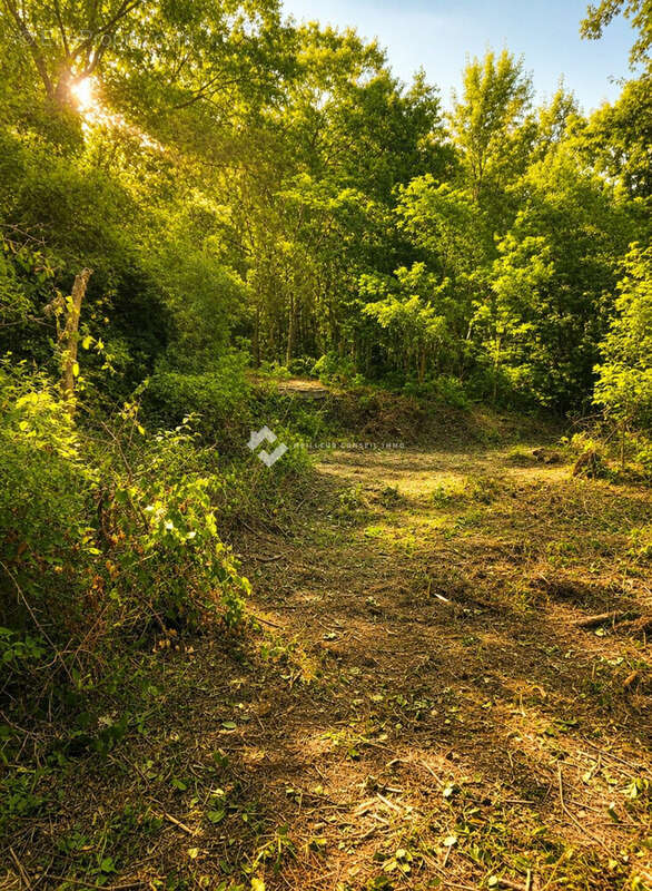 Terrain 1212 m² à Pruno  - photo 2