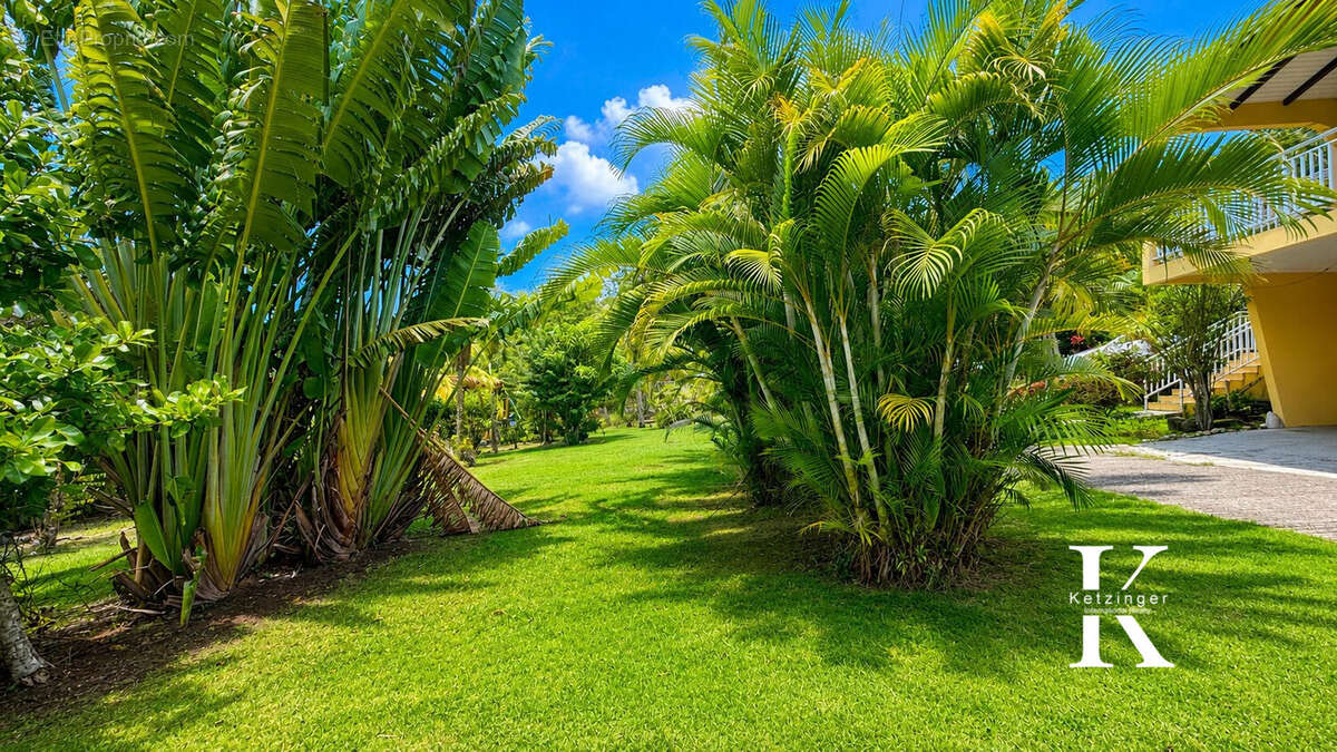 Jardin