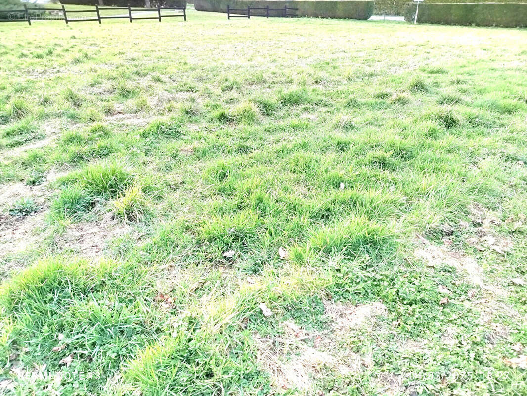 Terrain à SAINT-BRICE-EN-COGLES