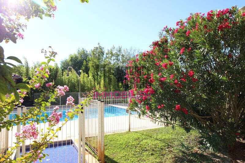 Appartement à L'ISLE-SUR-LA-SORGUE