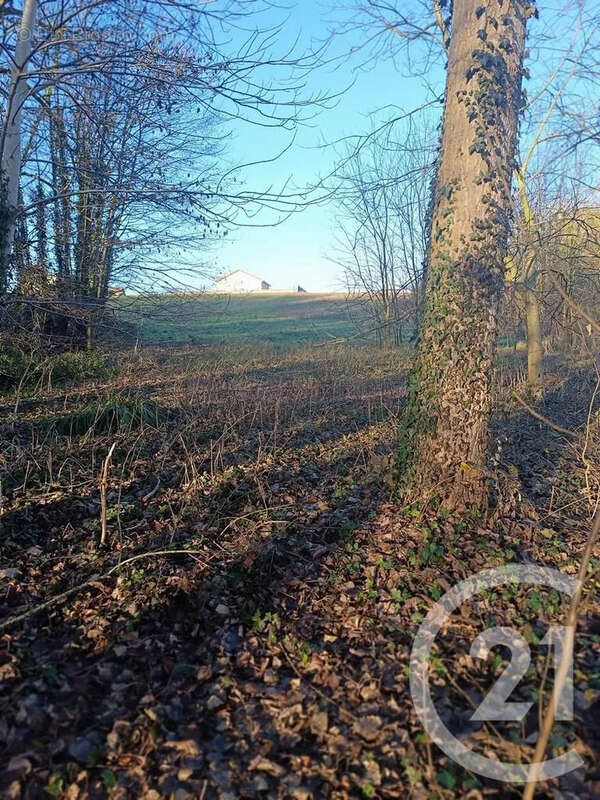Terrain à VATRY