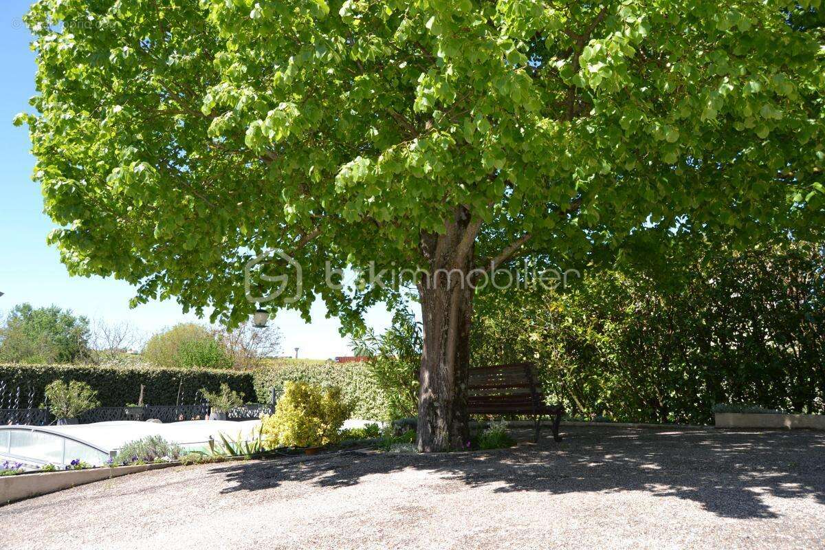 Maison à QUINT-FONSEGRIVES