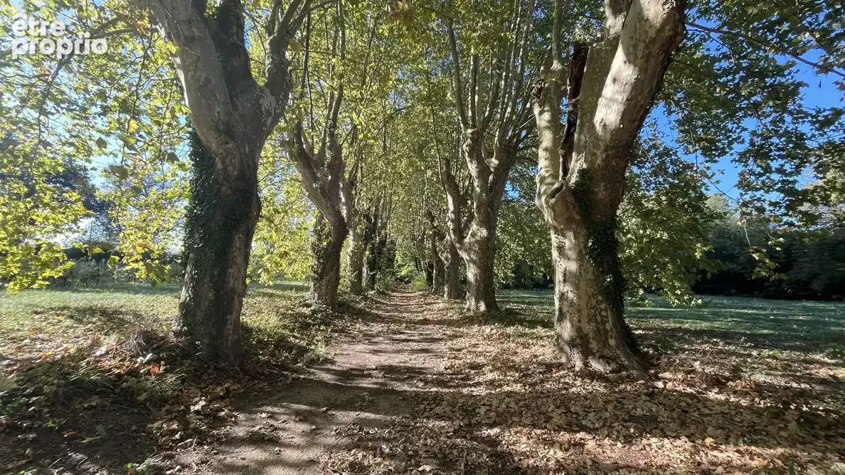 Authentique Château à rénover : Domaine d'exception sur 24 ha - photo 18