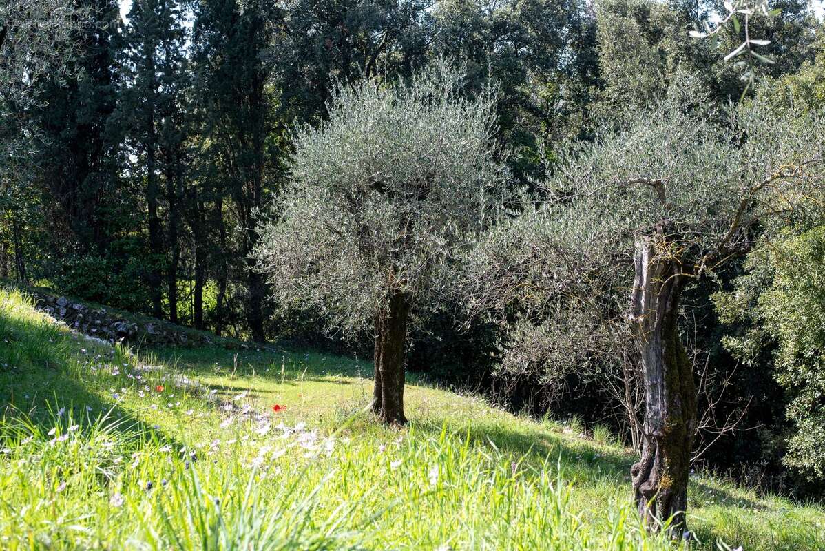 Maison à CHATEAUNEUF-GRASSE