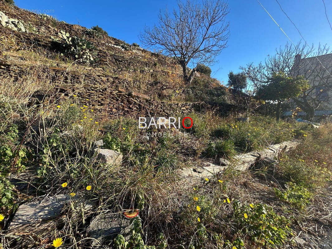 Appartement à PORT-VENDRES