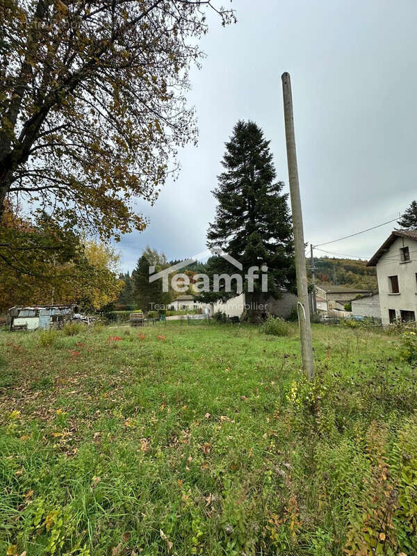 Maison à LA MONNERIE-LE-MONTEL