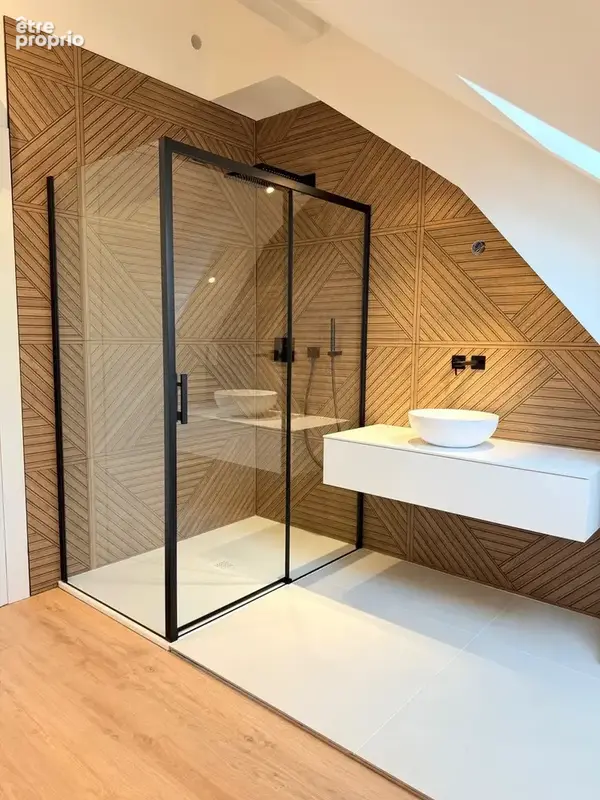 Annecy centre ville T3 en duplex - photo 6
