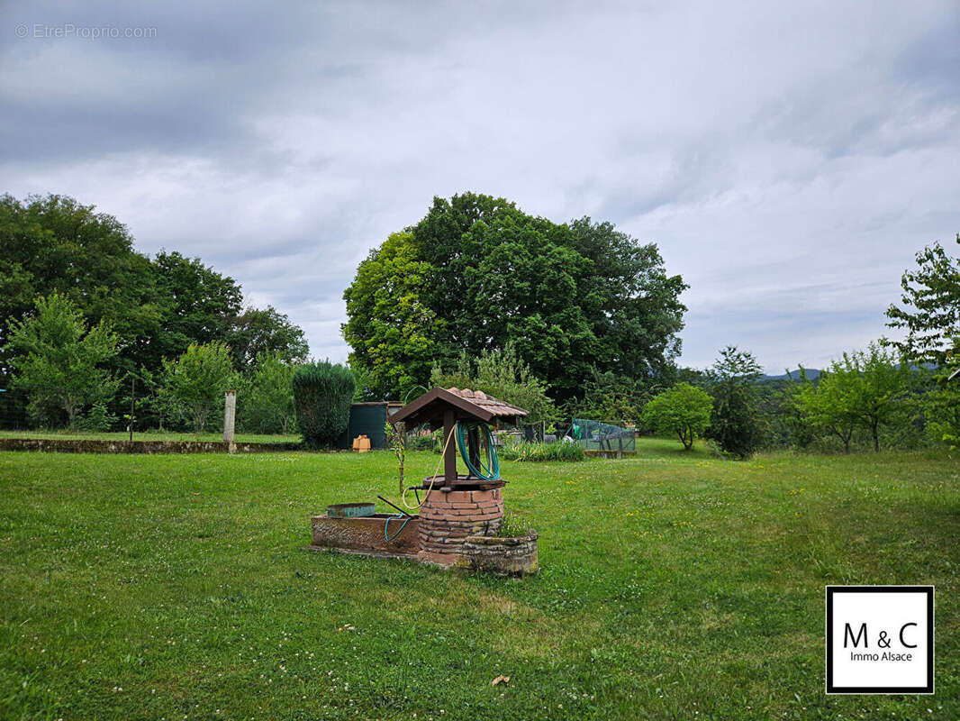 Maison à ZINSWILLER