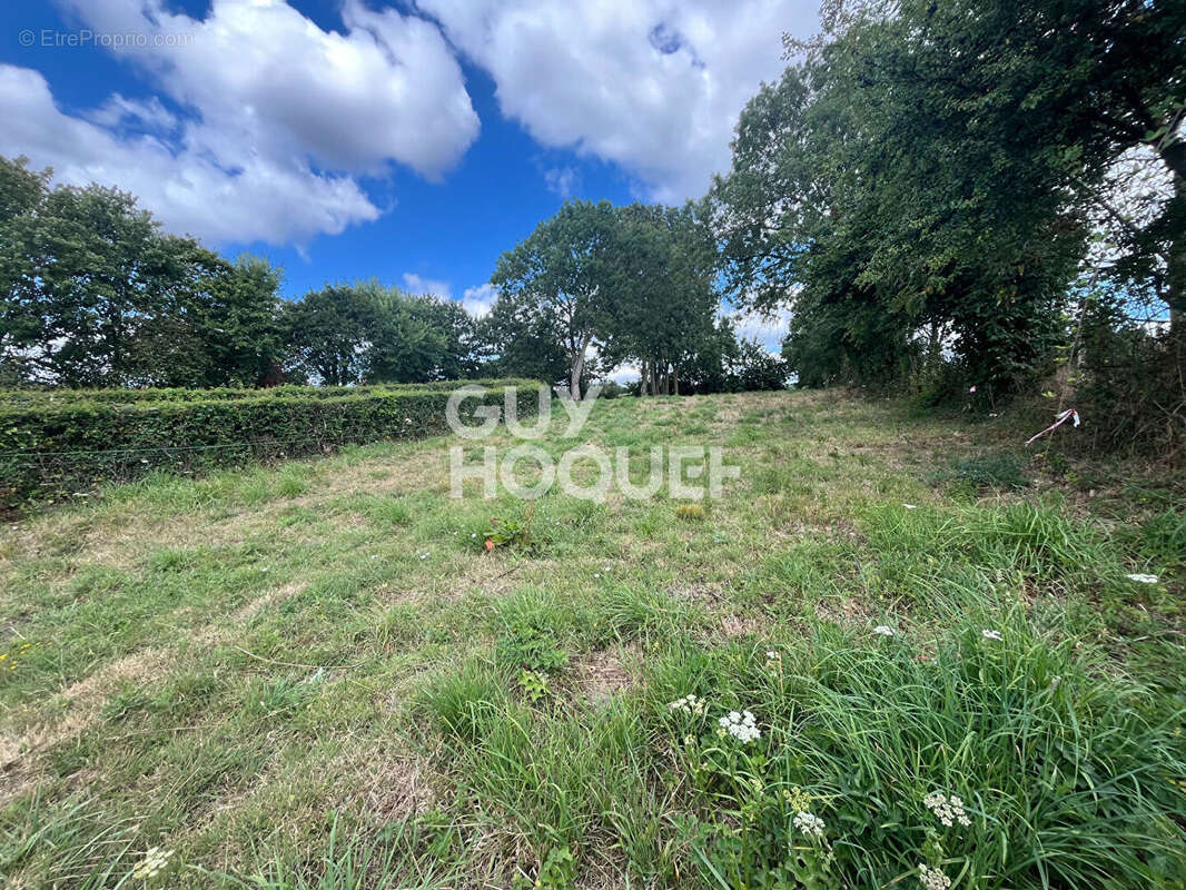 Maison Gonfreville - photo 16