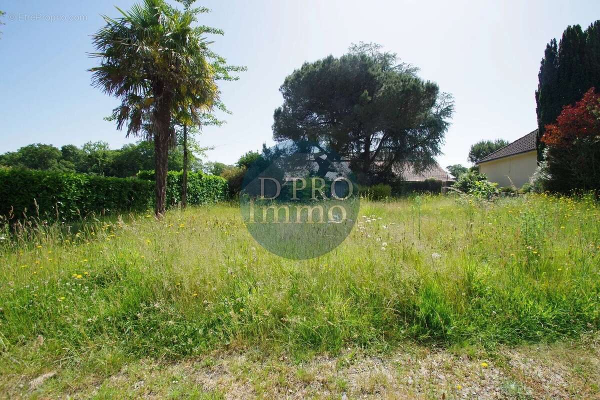 Terrain à BASSE-GOULAINE