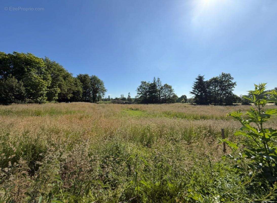 Terrain à PLUHERLIN