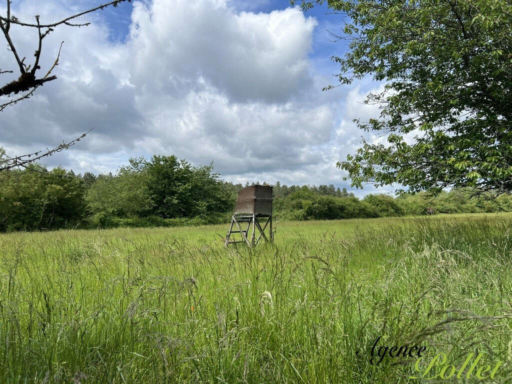 Maison à NEUVY-SUR-BARANGEON