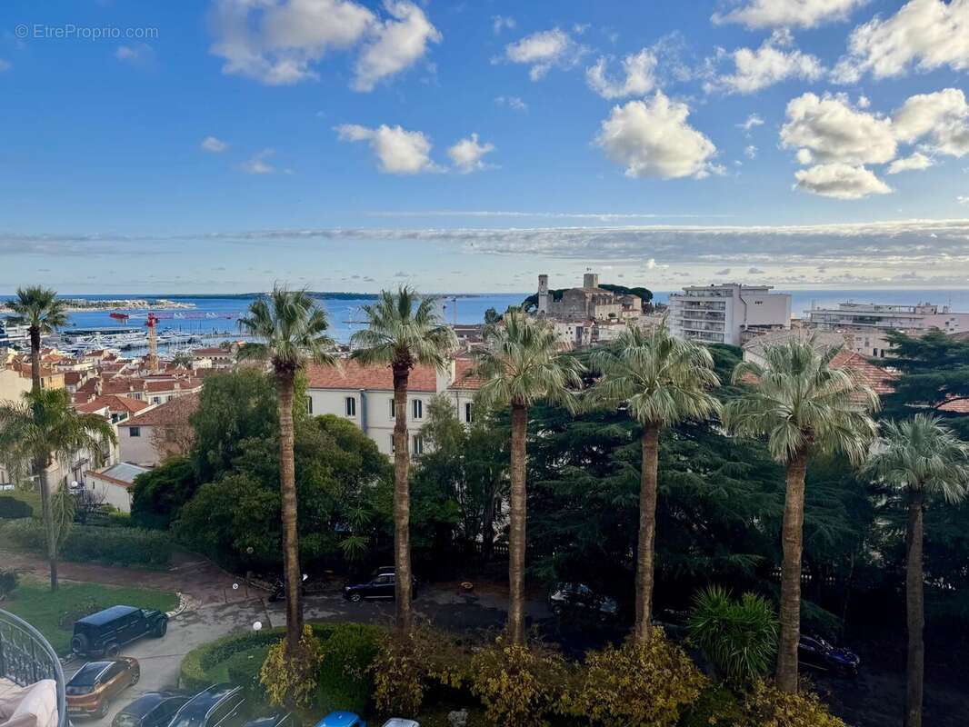 Cannes vente 2 pièces + chambre de service - photo 3