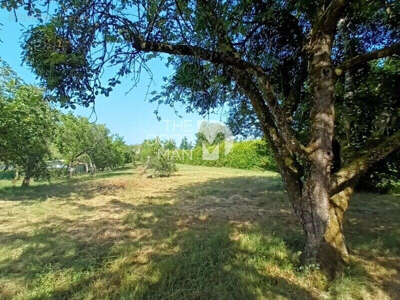 Terrain 52600 - photo 2